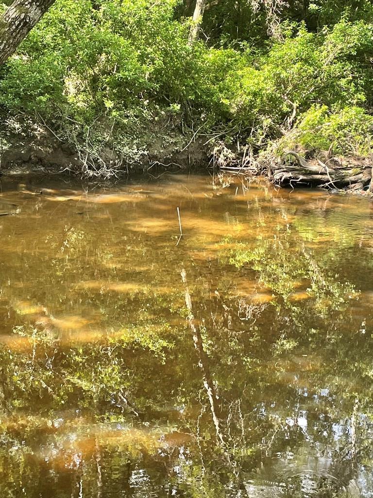 1 Progress Silver Run Road Poplarville, MS 39470 - Photo 1 of 1 Gallery Image 1