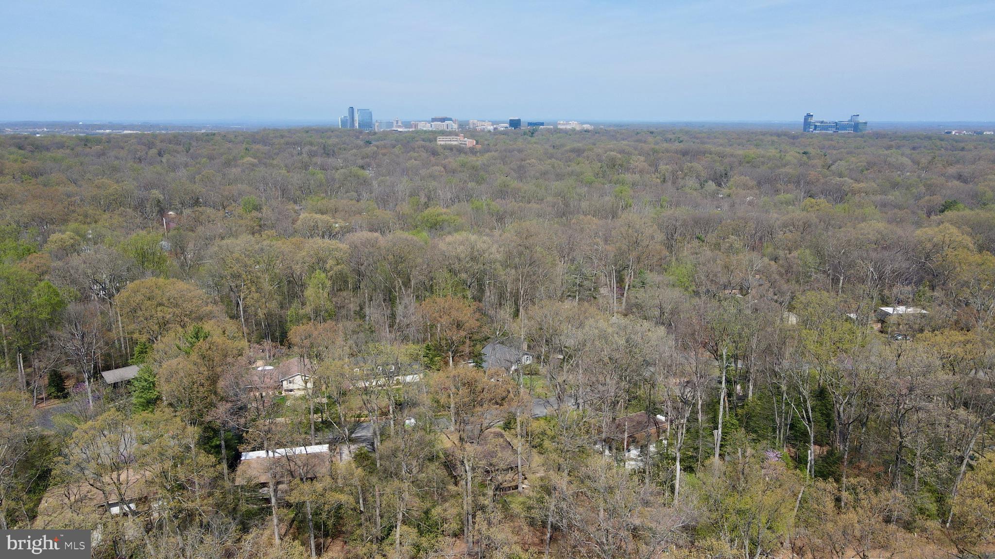 12012 Canter Lane Reston, VA 20191 - Photo 42 of 49