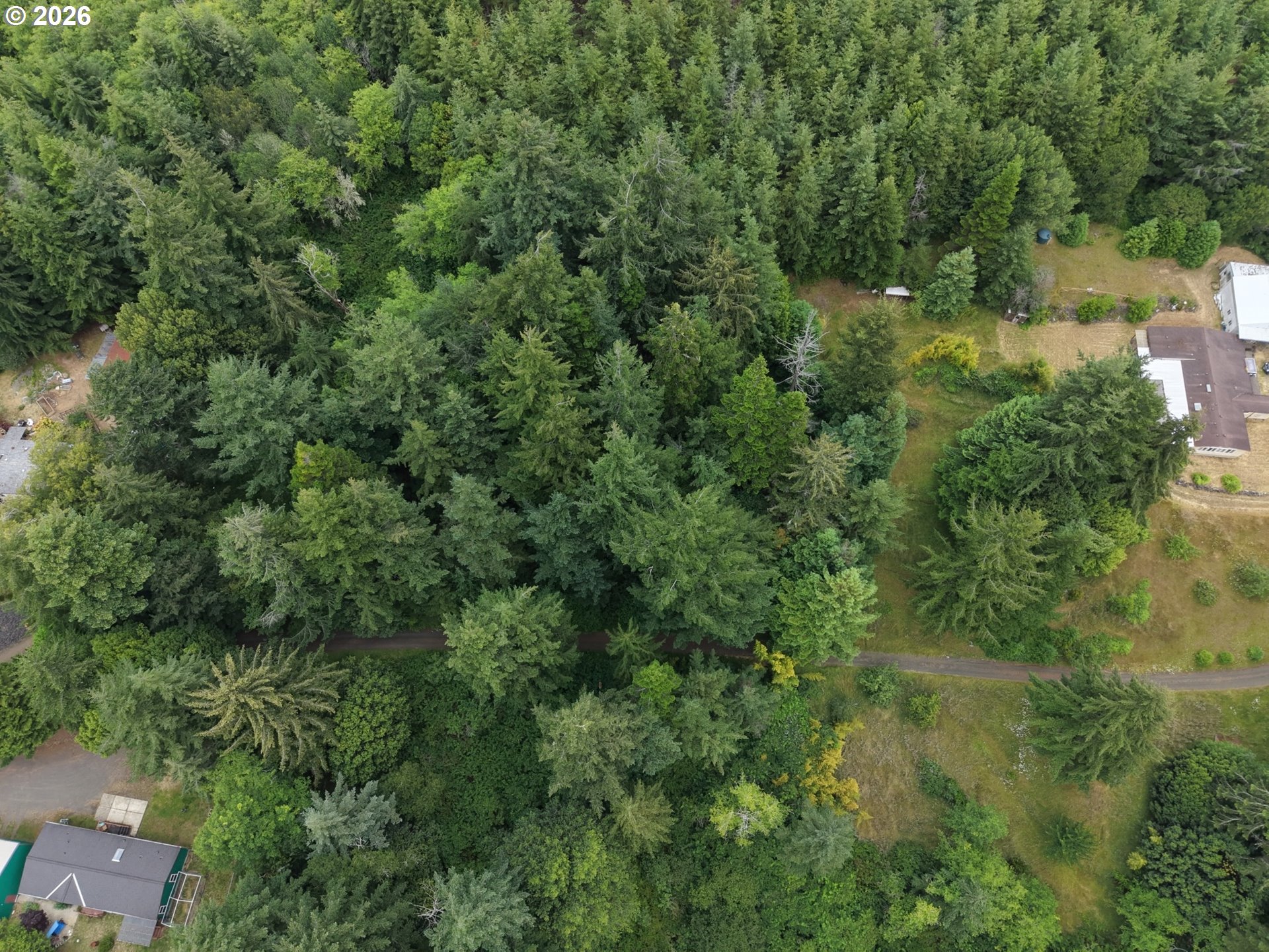 0 Misty Ridge Lane North Bend, OR 97459 - Photo 8 of 12
