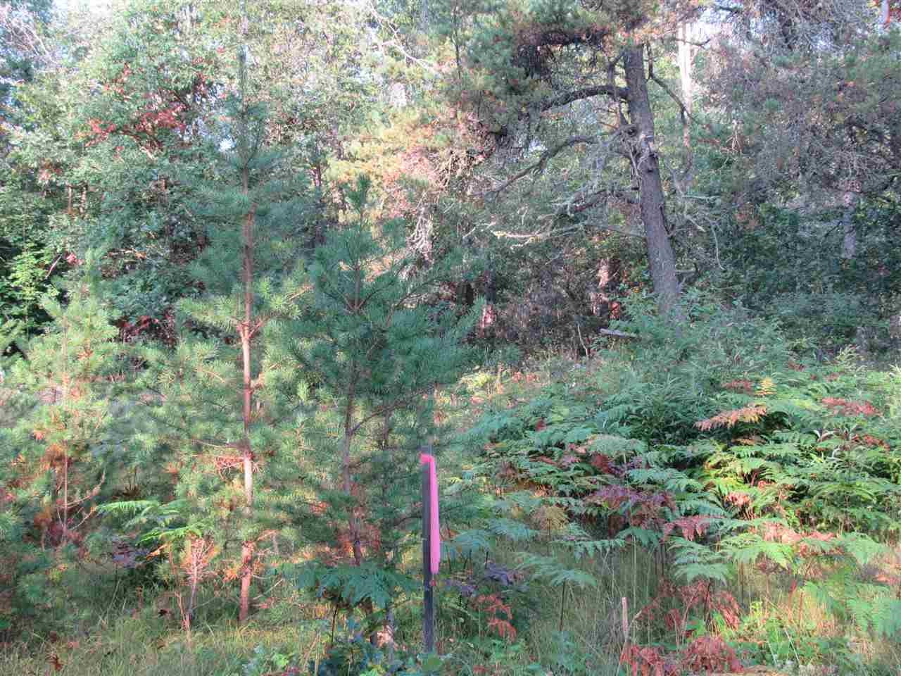 Xxx Leline Road Roscommon, MI 48653 - Photo 12 of 16 Gallery Image 12