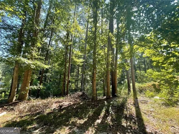 a view of a forest with trees