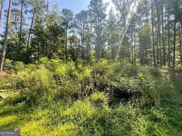 a view of a lush green forest with large trees