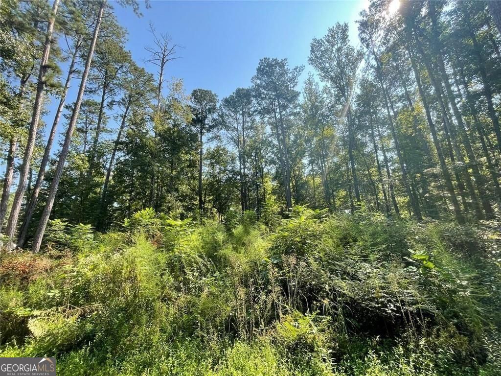 6031 Falcon Court, Unit 8 Austell, GA 30106 - Photo 4 of 11