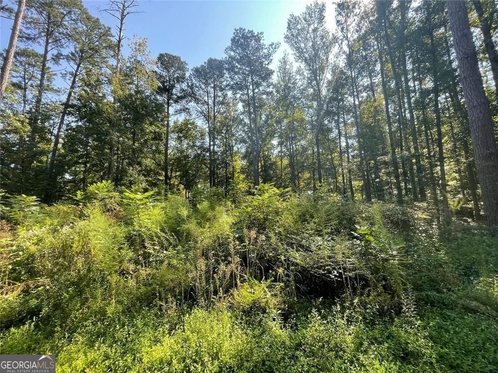 6031 Falcon Court, Unit 8 Austell, GA 30106 - Photo 5 of 11