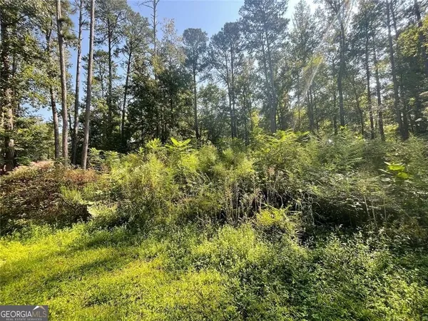 a view of a yard with large trees