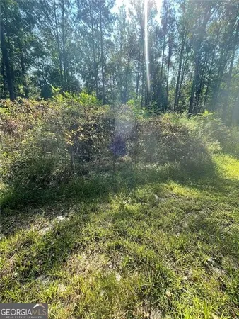 a view of a lush green forest