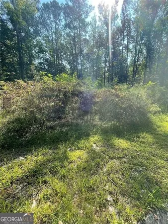 a view of a lush green forest