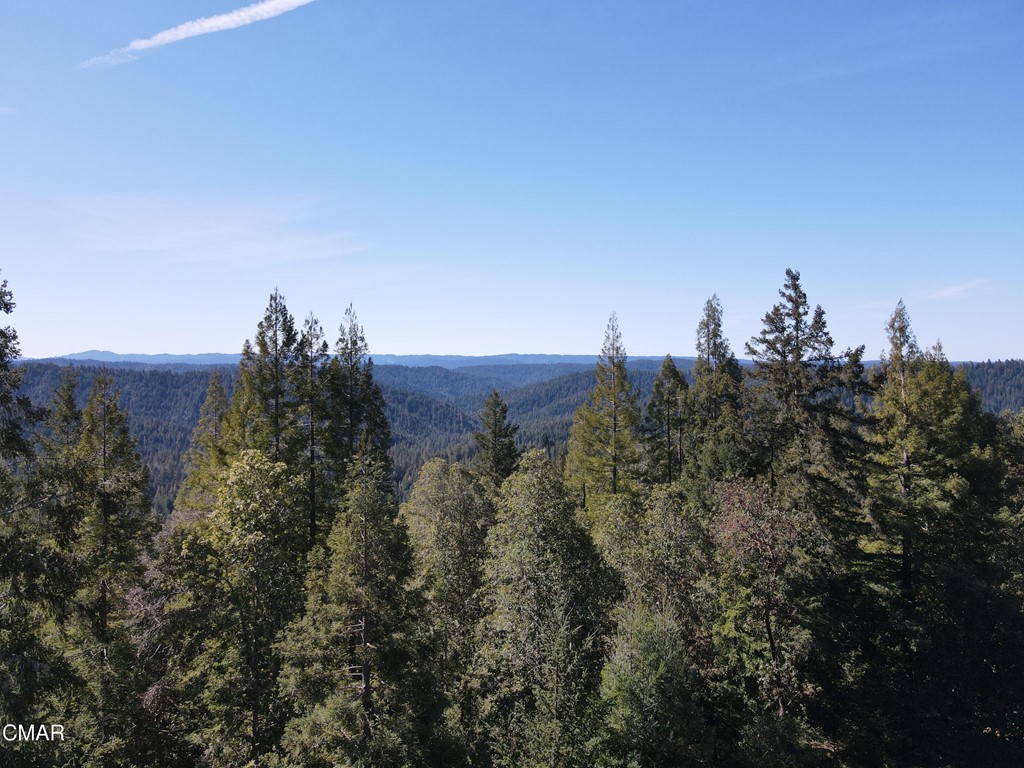 26301 Comptche Ukiah Road Comptche, CA 95427 - Photo 1 of 1