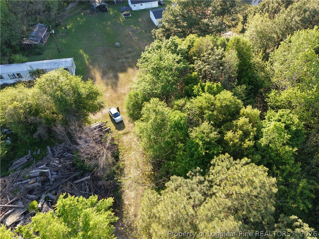Amaziahs Farm Road Maxton, NC 28364 - Photo 5 of 7 Gallery Image 5