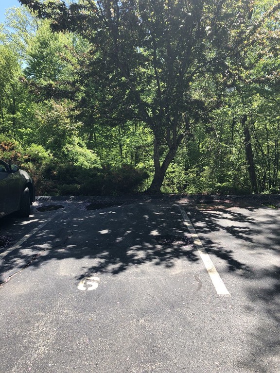 107 Center Depot Road, Unit F Charlton, MA 01507 - Photo 20 of 20 a view of a tree