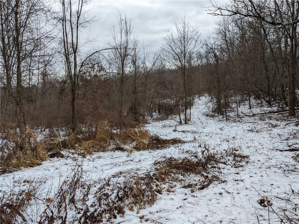 Tbd Whitelands Road Stone Ridge, NY 12484 - Photo 1 of 1