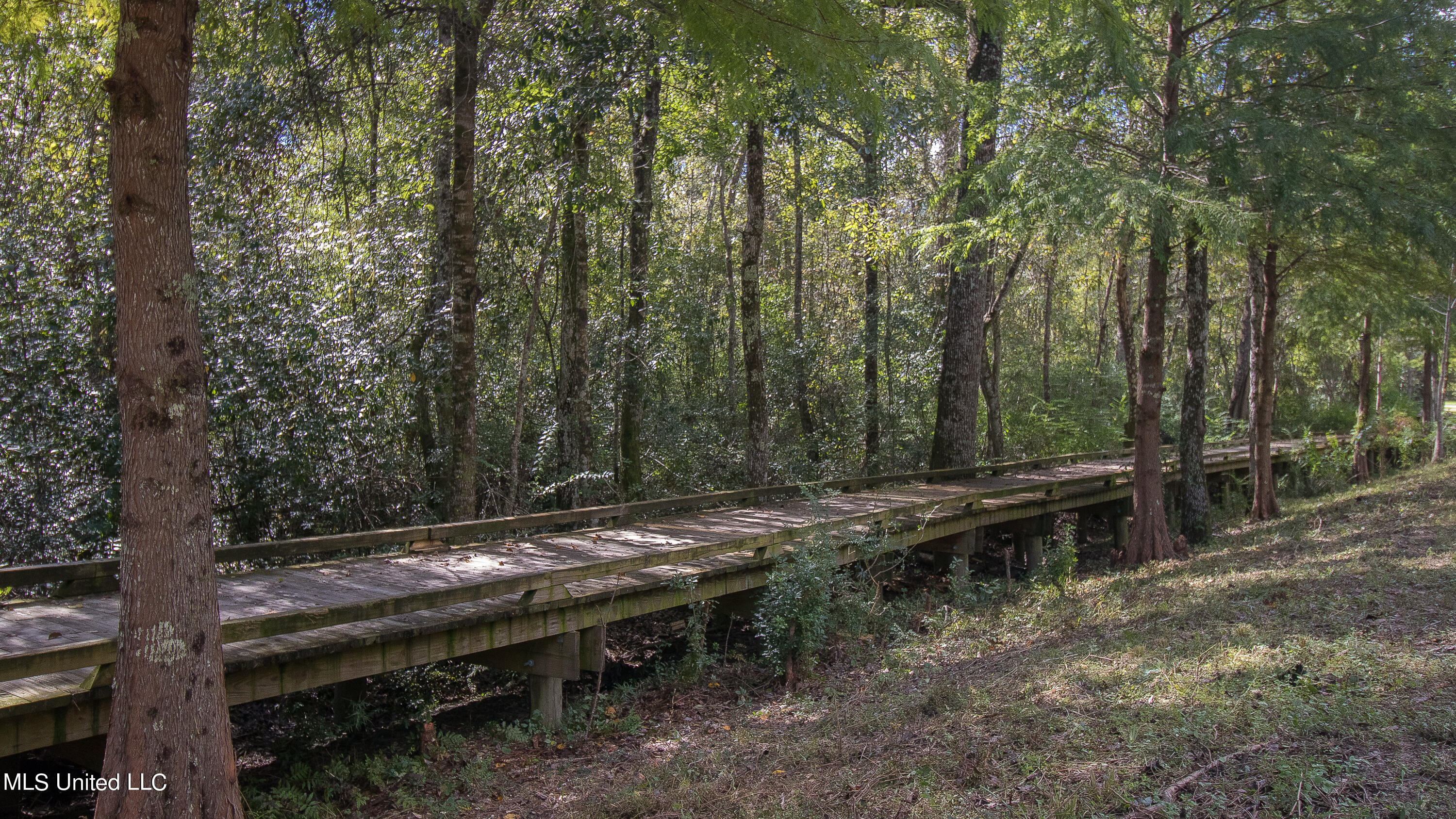 12537 Alphabet Road Gulfport, MS 39503 - Photo 51 of 52 13200 Westminister-143