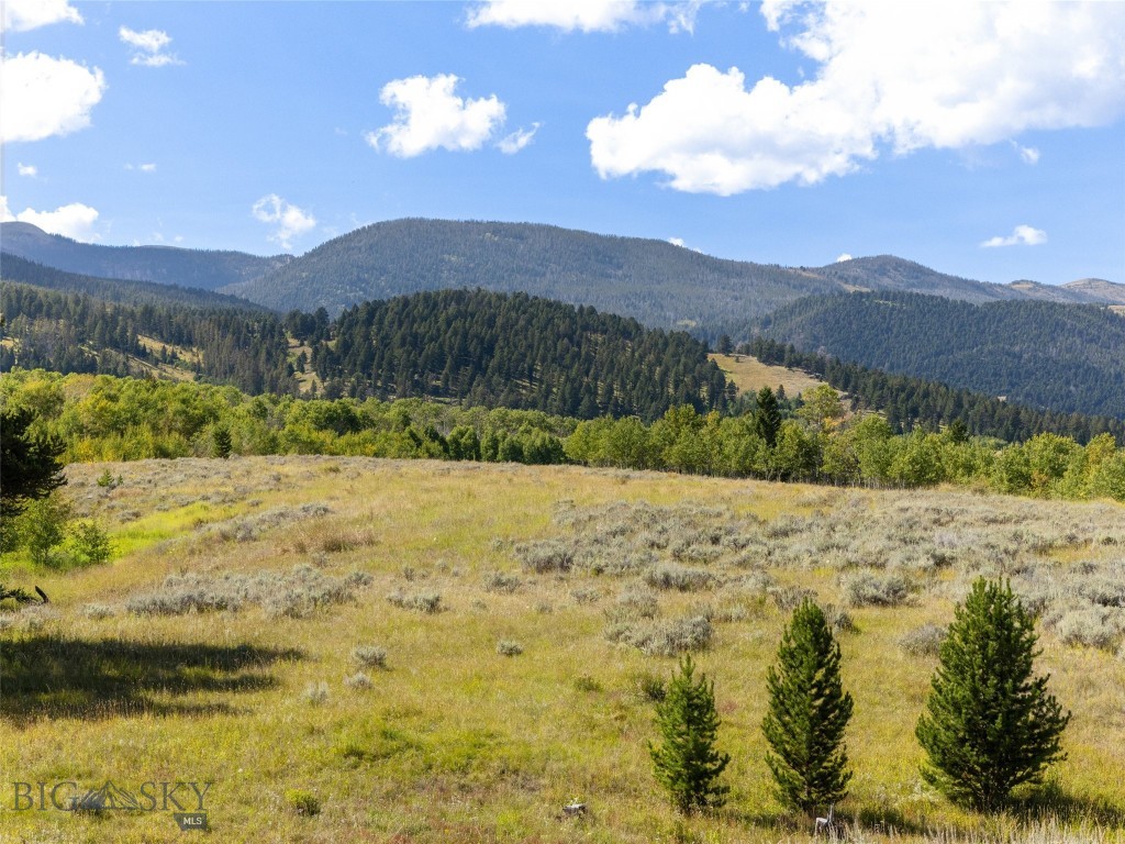 Lot 32 Sun West Ranch Cameron, MT 59720 - Photo 11 of 37 Gallery Image 11