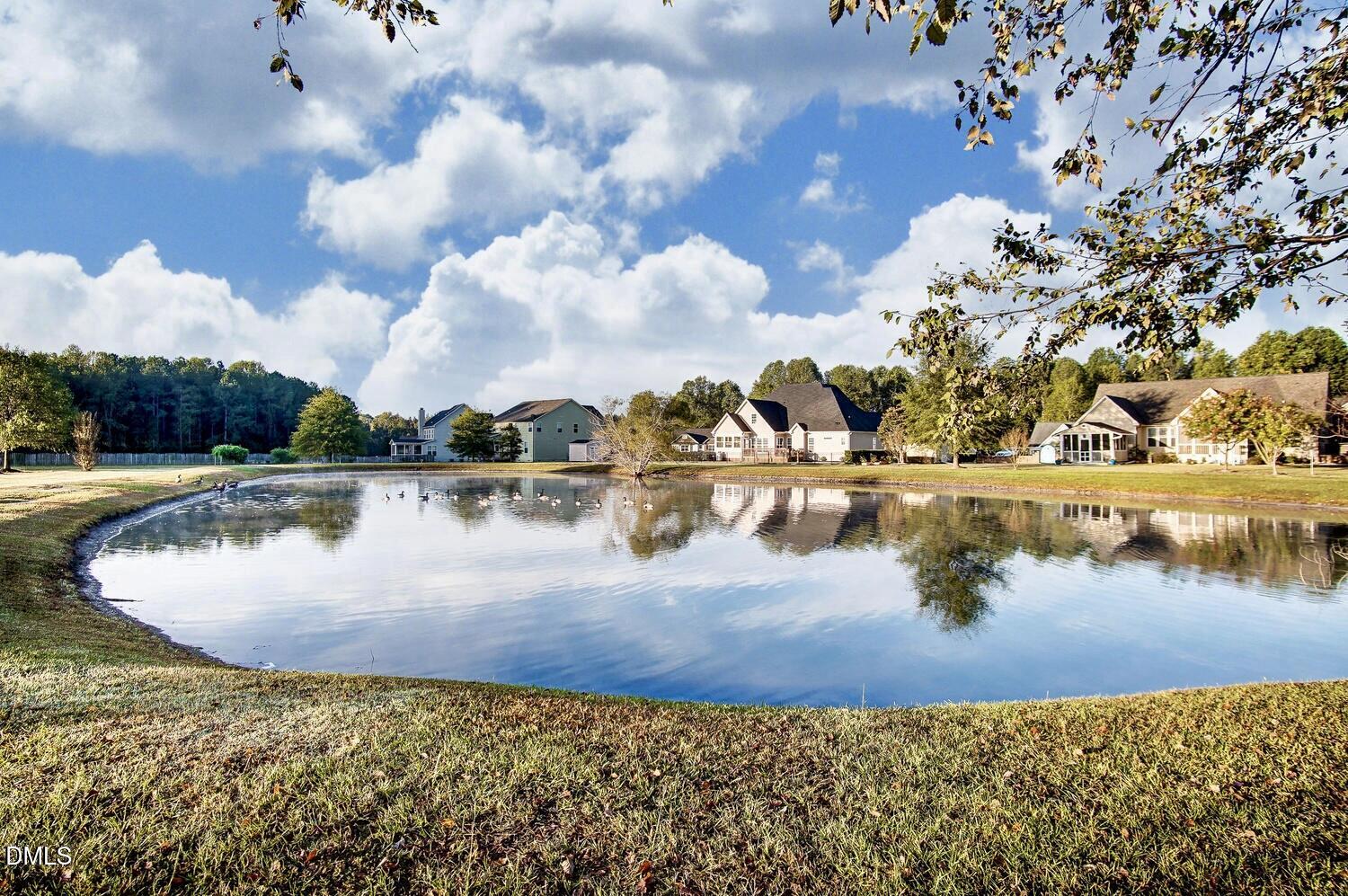 8320 Pin Cherry Drive Willow Spring, NC 27592 - Photo 45 of 48 Fishing Pond