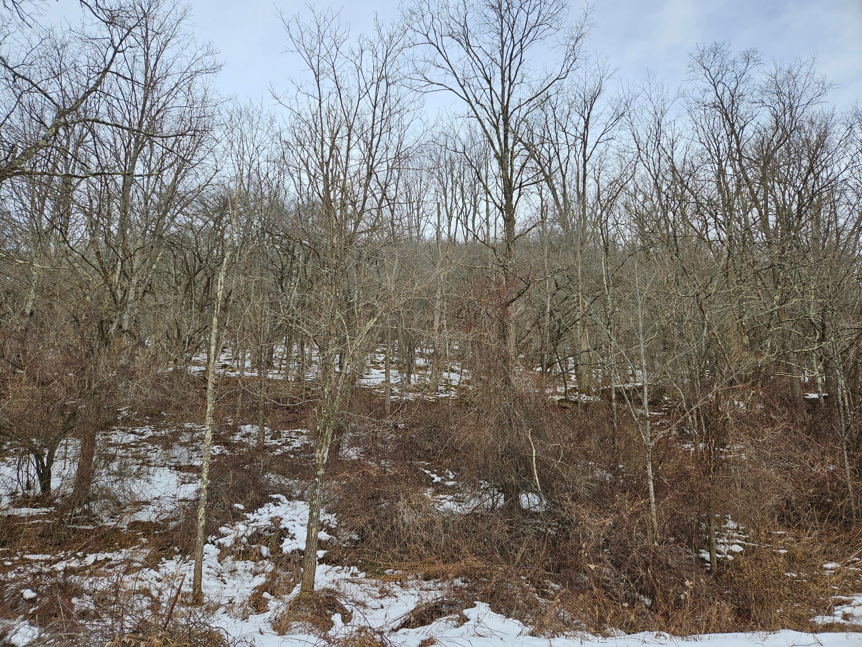 Lot 23 Hawthorne Valley Road Slatyfork, WV 26291 - Photo 8 of 8 Gallery Image 8