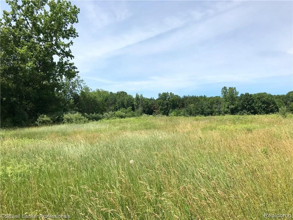 0 Lake Road Otisville, MI 48463 - Photo 4 of 12