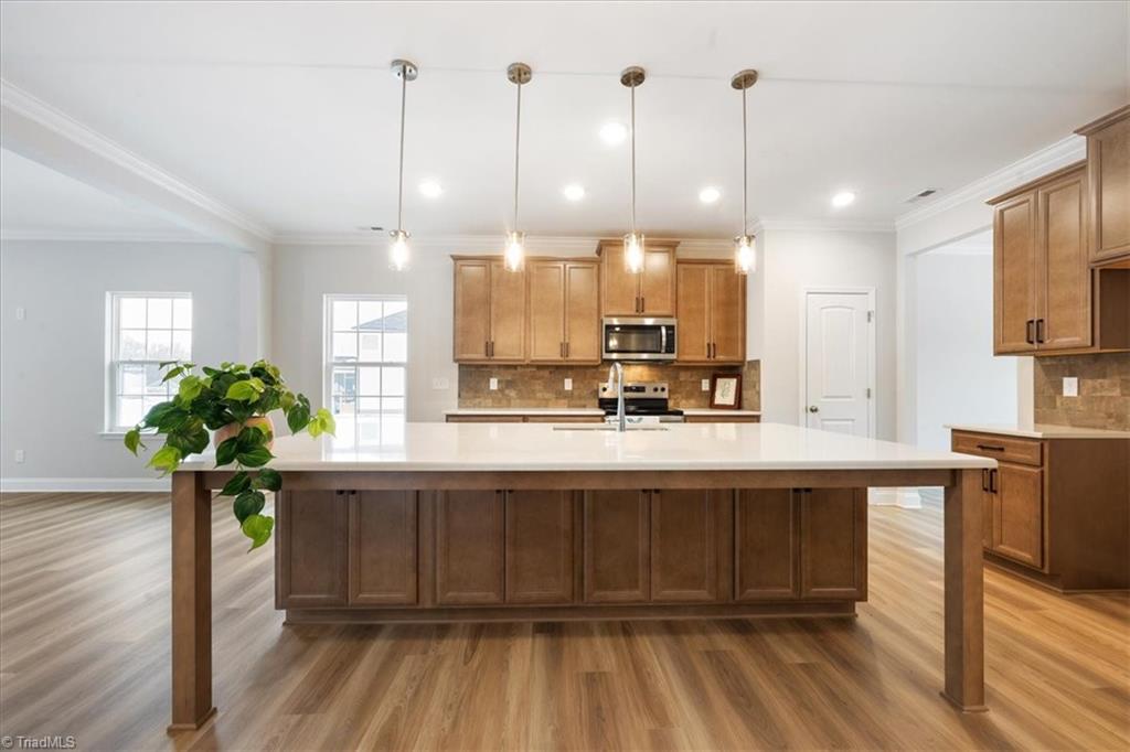 6407 Gardenview Road, Unit 33 Pleasant Garden, NC 27313 - Photo 4 of 27 HUGE Island!