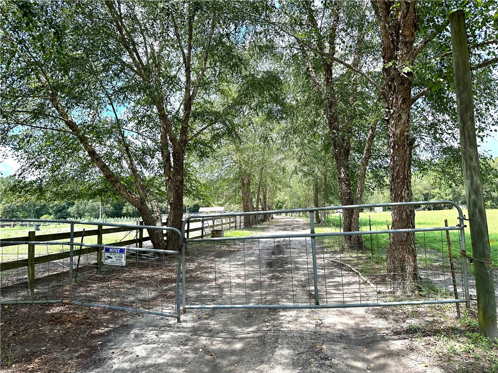 Tbd Murrhee Road Hilliard, FL 32046 - Photo 3 of 28 Gallery Image 3