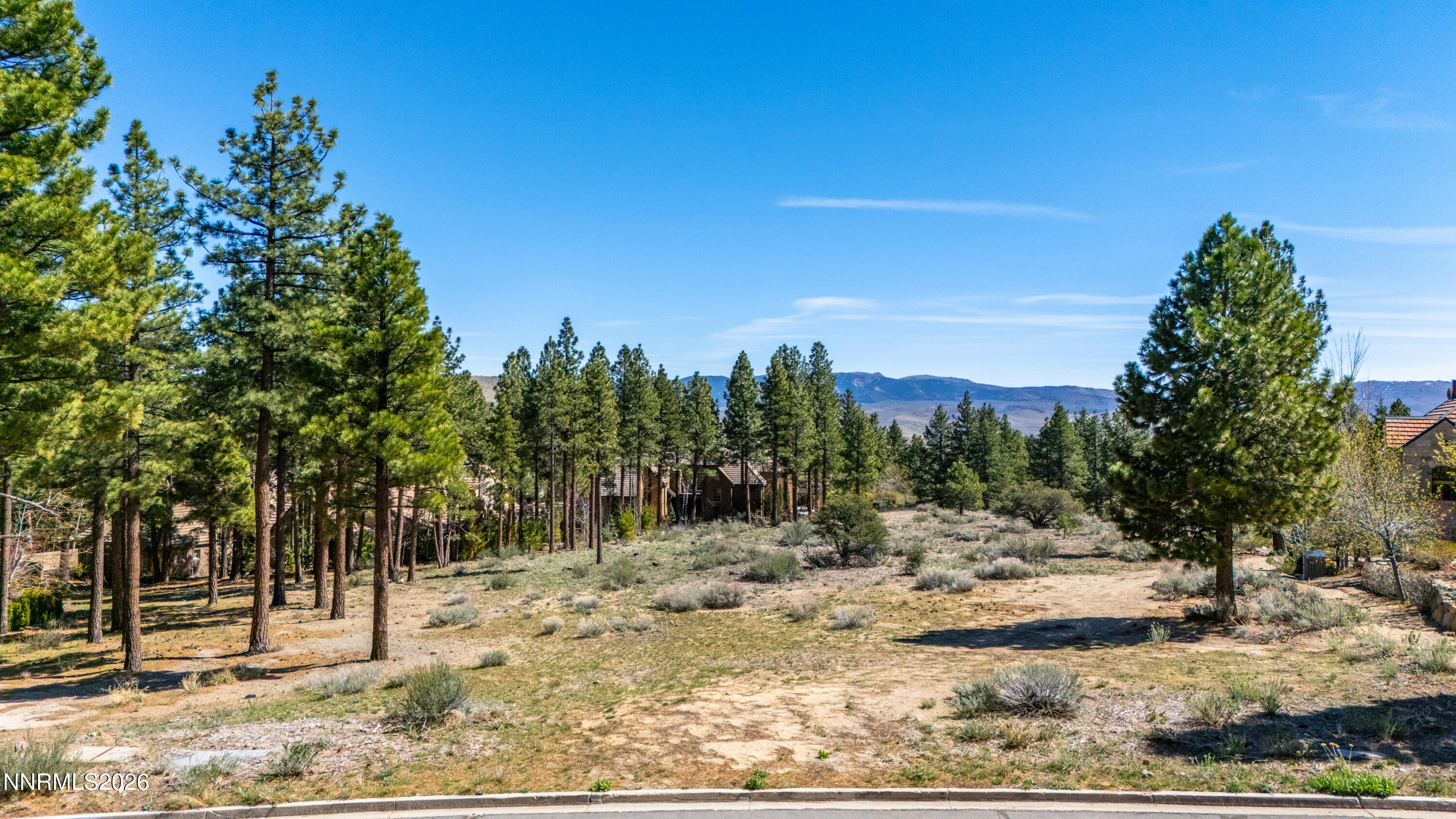 6145 Lake Geneva Drive Reno, NV 89511 - Photo 2 of 16 a view of a yard with trees