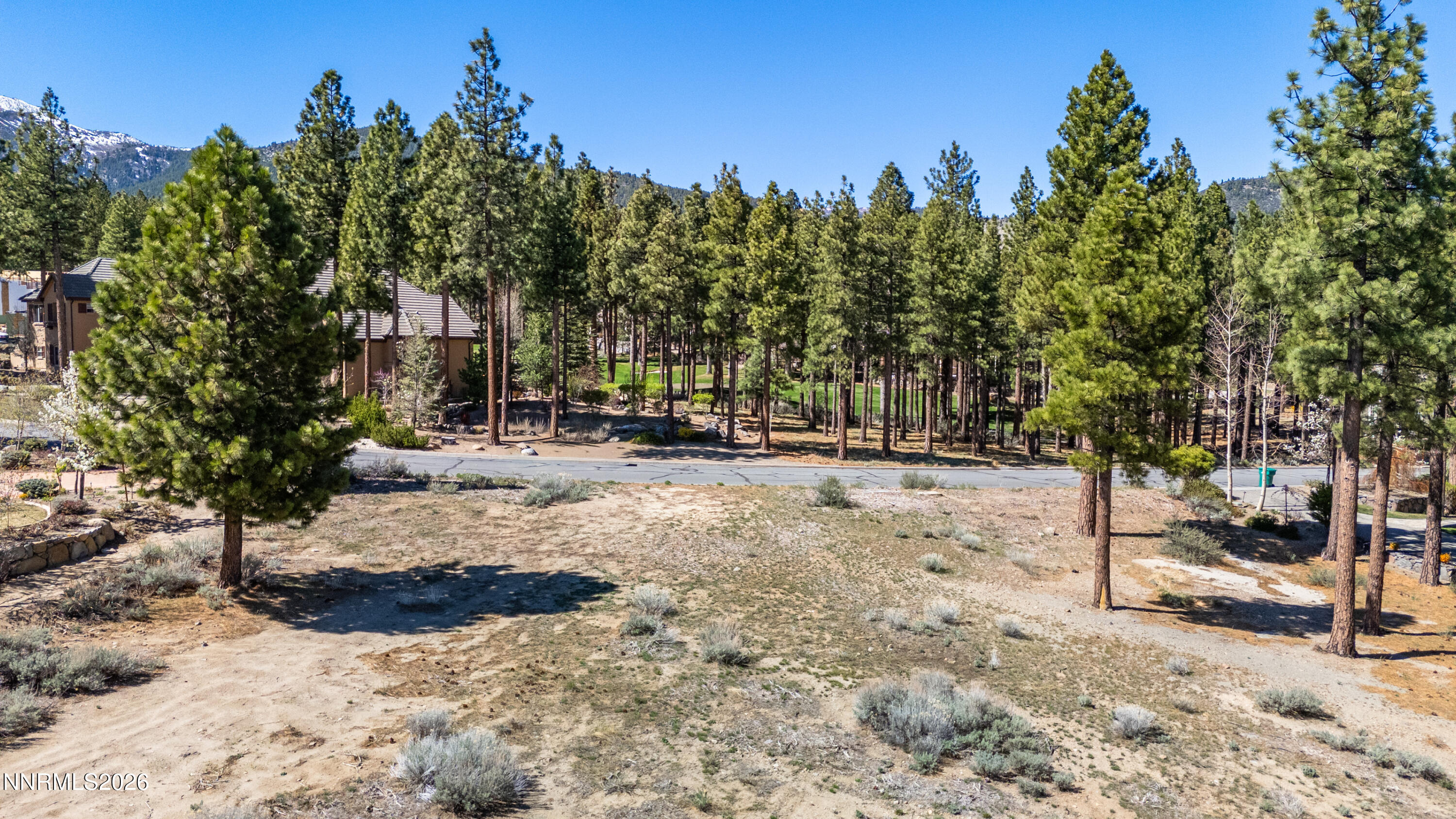 6145 Lake Geneva Drive Reno, NV 89511 - Photo 5 of 16 a view of road with trees