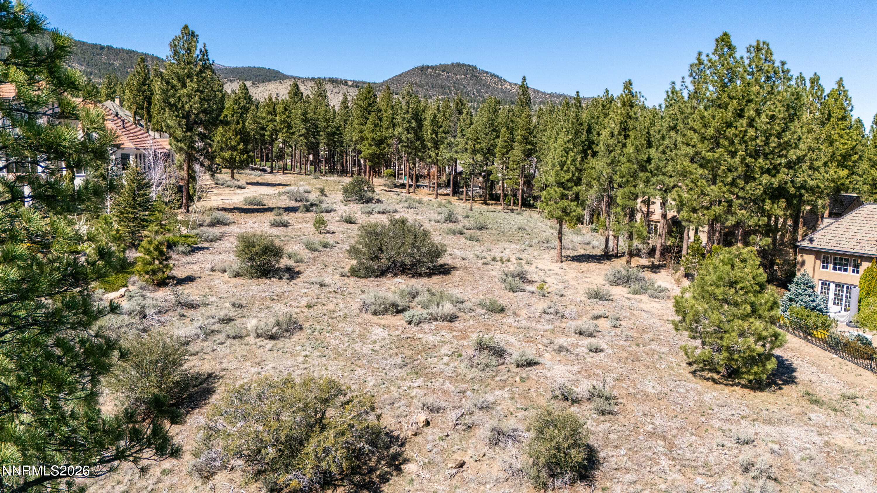 6145 Lake Geneva Drive Reno, NV 89511 - Photo 7 of 16 a view of a forest with mountains in the background
