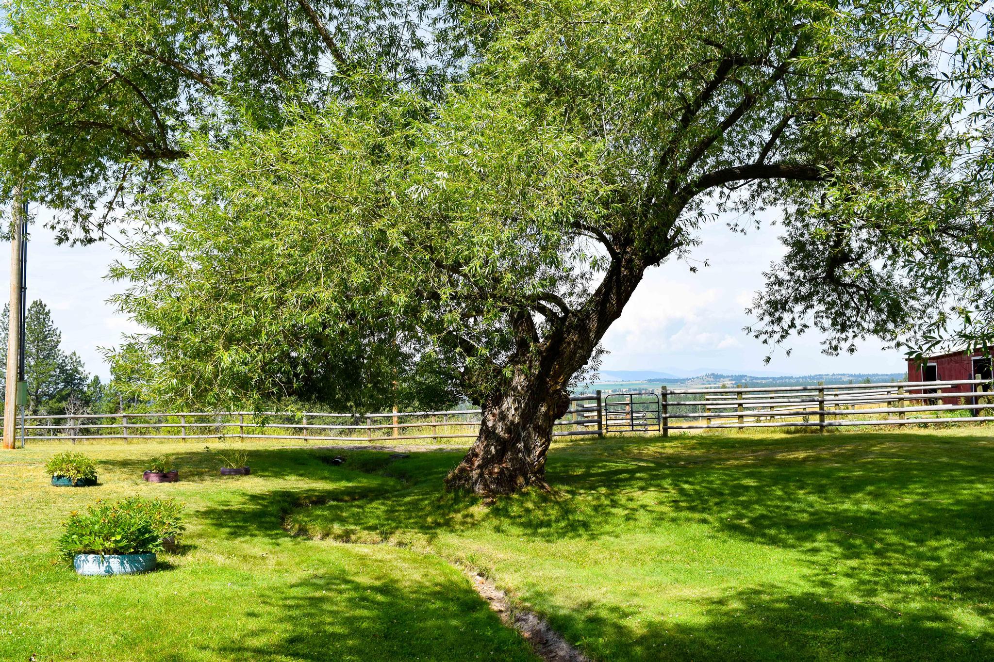 42377 Windy Ridge Lane Ronan, MT 59864 - Photo 55 of 56 Gallery Image 55