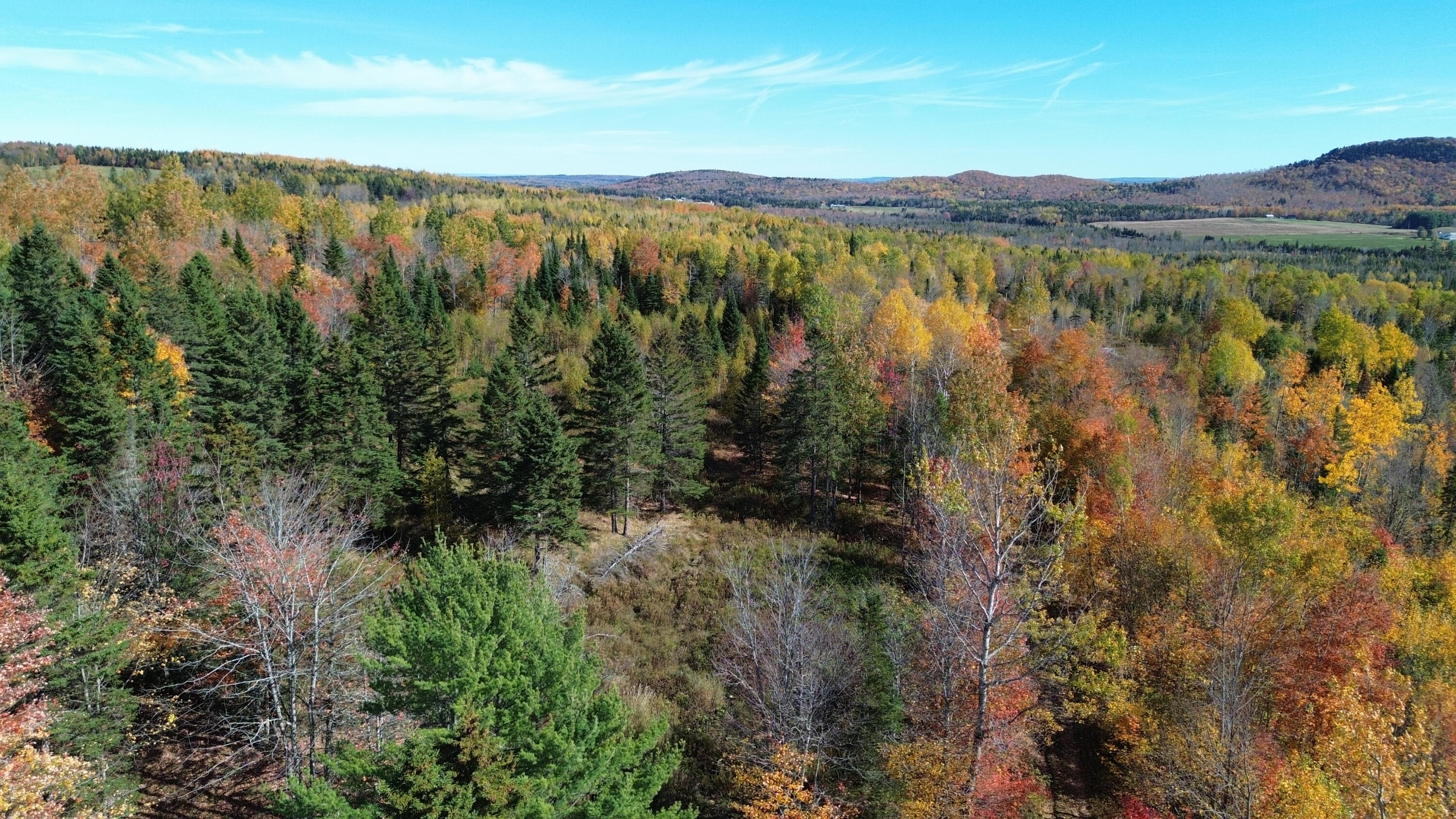 350 Currie Road Smyrna Mills, ME 04780 - Photo 14 of 35 DJI_0530