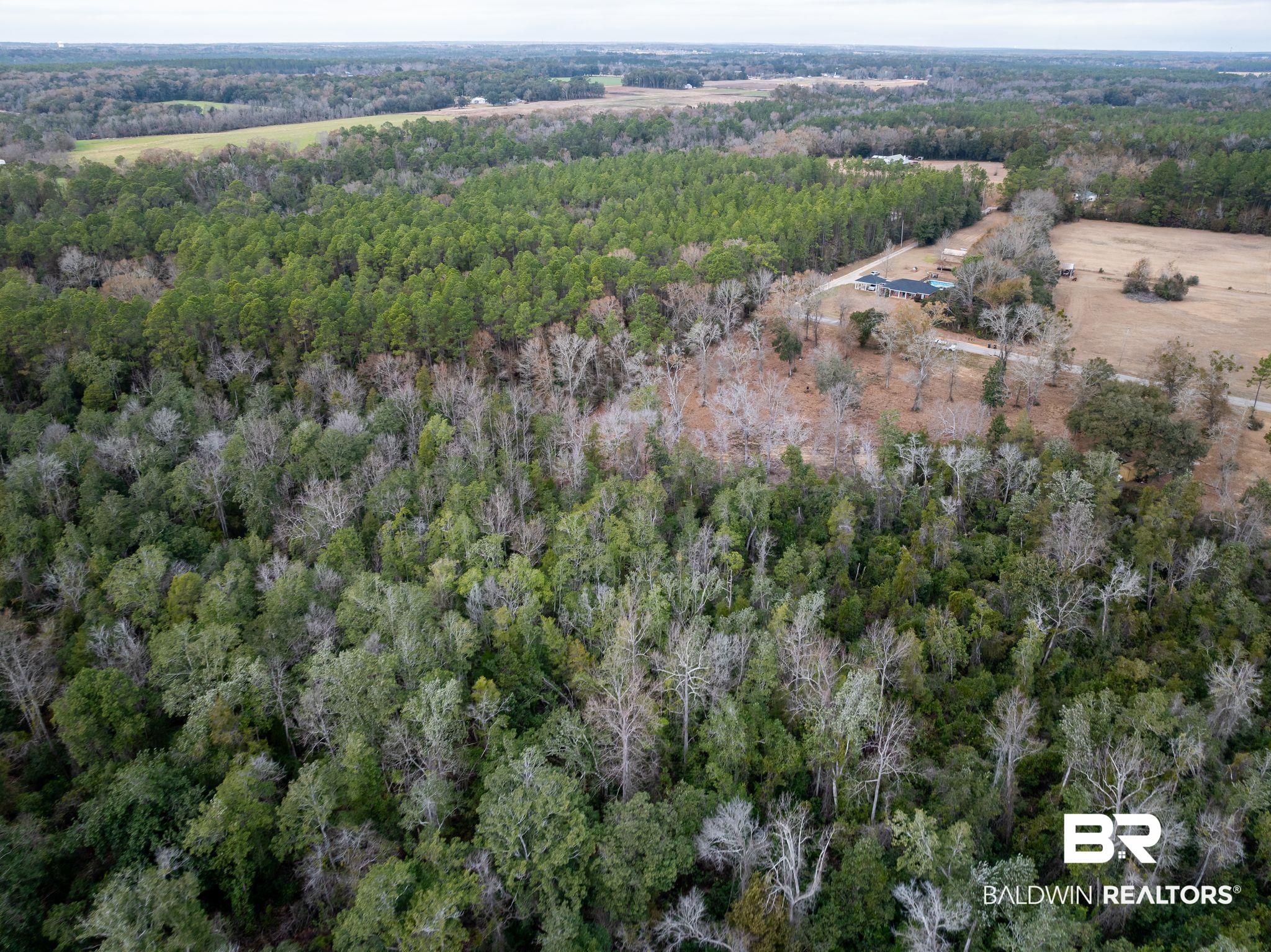 0 Holston Lane South Silverhill, AL 36576 - Photo 14 of 16