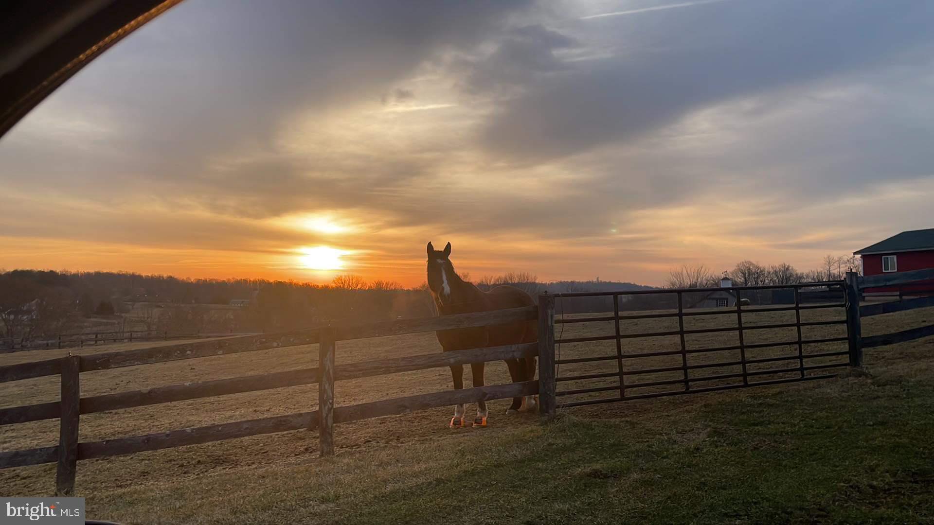 17029 Hamilton Station Road Hamilton, VA 20158 - Photo 5 of 89