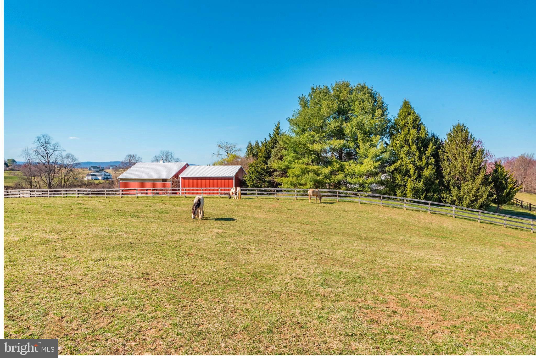 17029 Hamilton Station Road Hamilton, VA 20158 - Photo 77 of 89