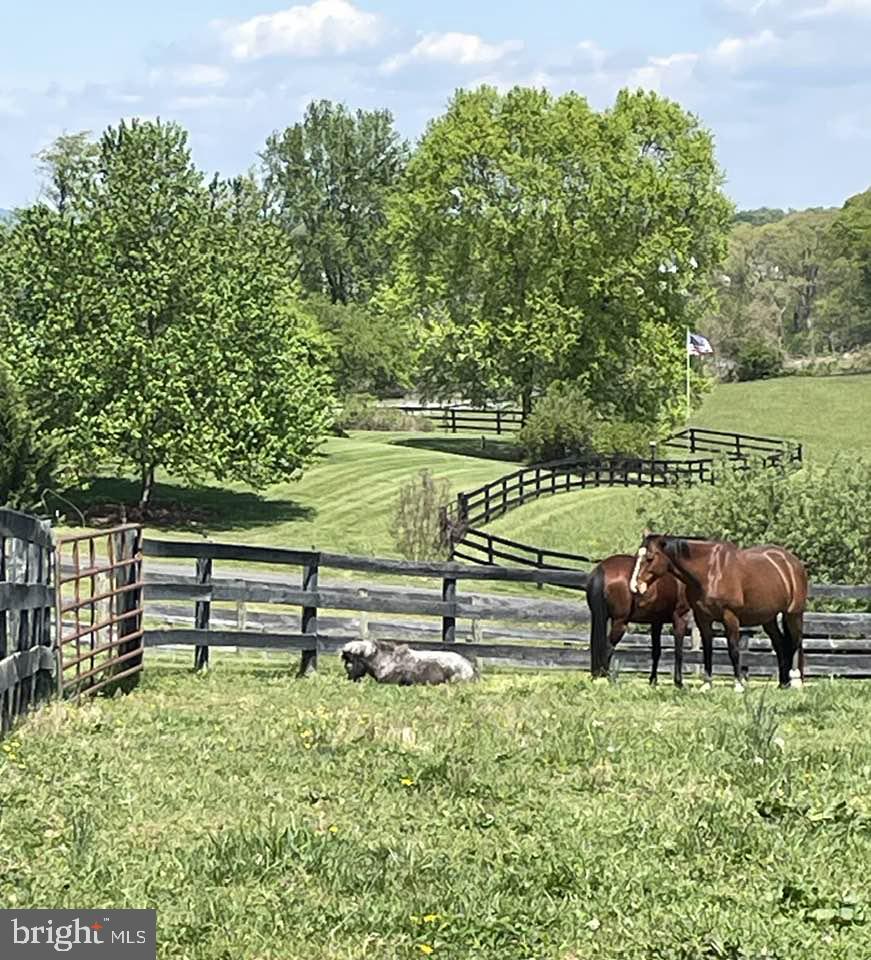 17029 Hamilton Station Road Hamilton, VA 20158 - Photo 80 of 89