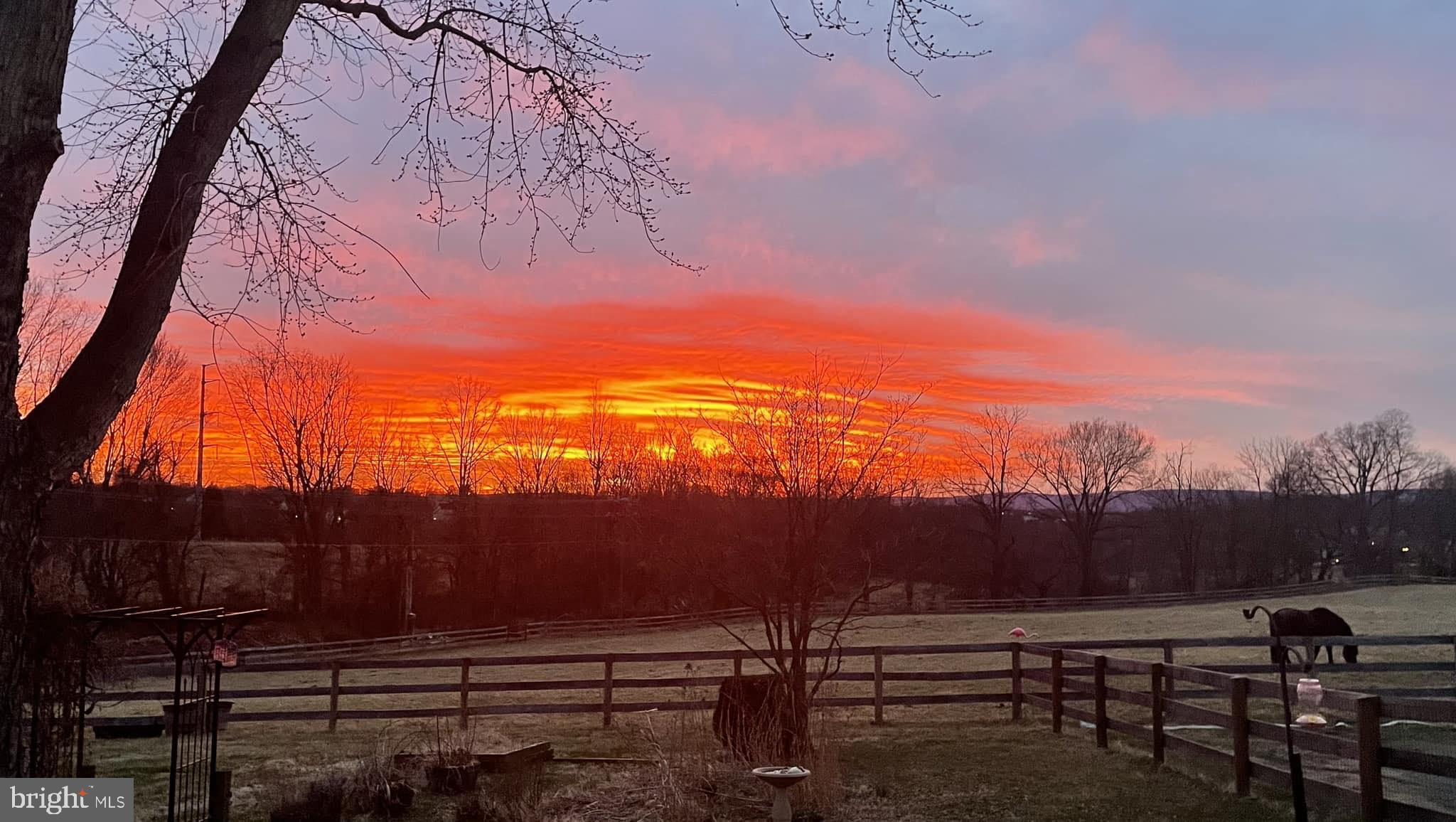 17029 Hamilton Station Road Hamilton, VA 20158 - Photo 84 of 89