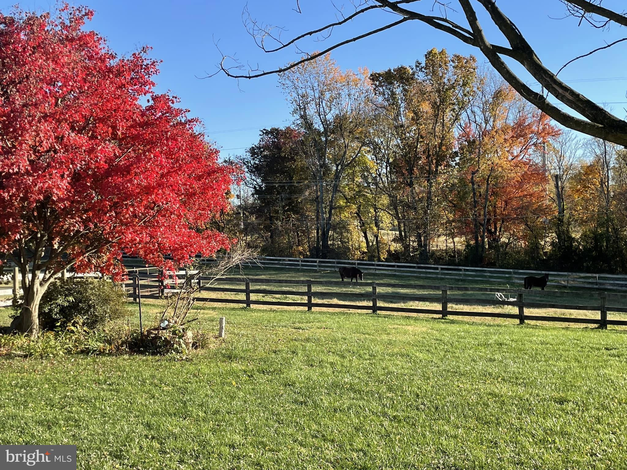 17029 Hamilton Station Road Hamilton, VA 20158 - Photo 85 of 89