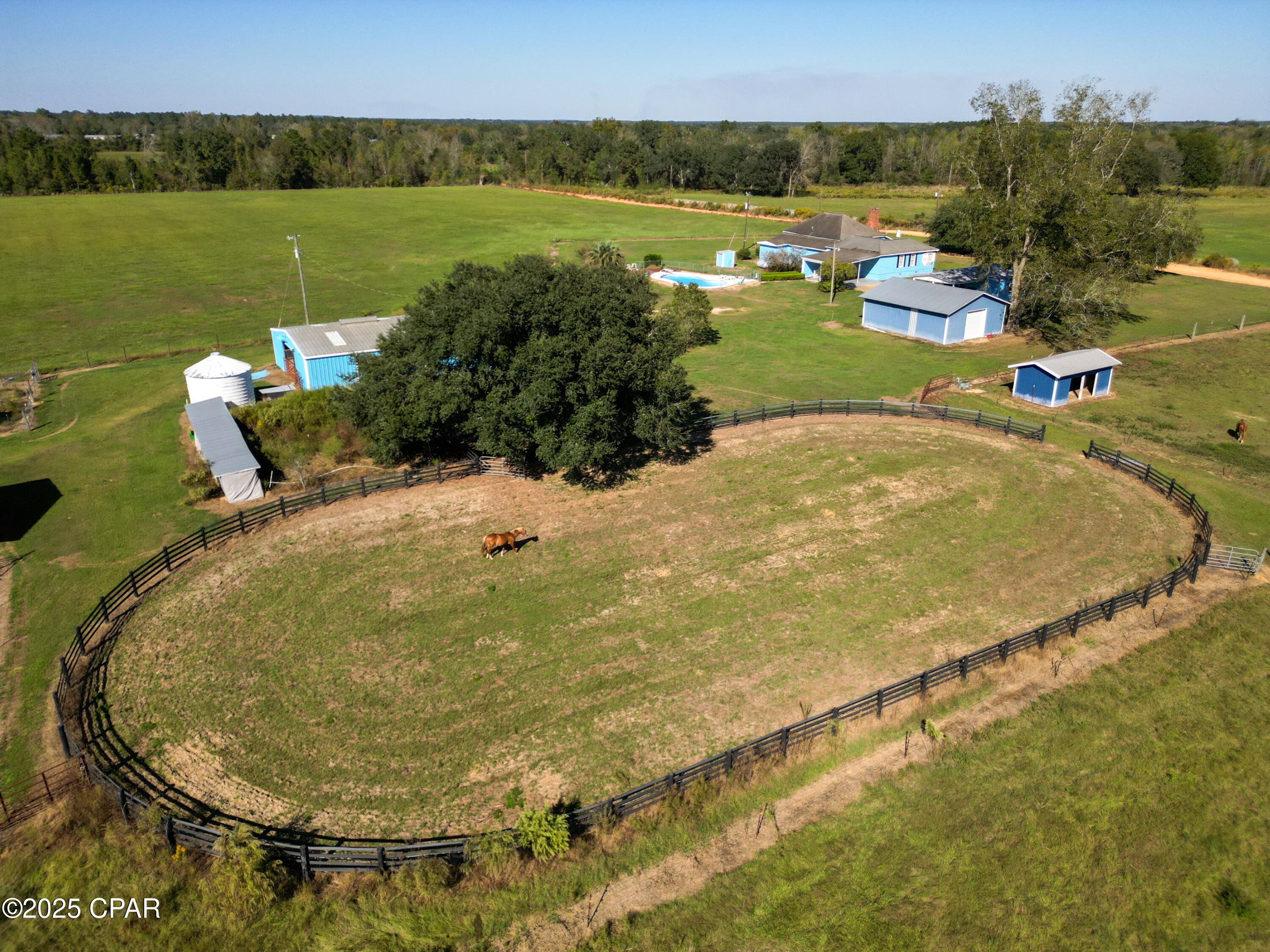 5171 Galloway Road Graceville, FL 32440 - Photo 6 of 81