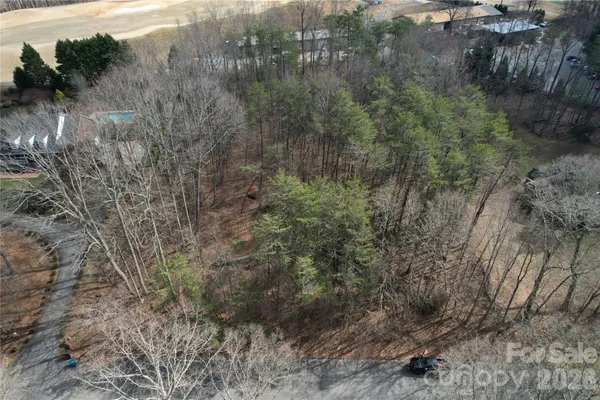 a view of a forest with a yard