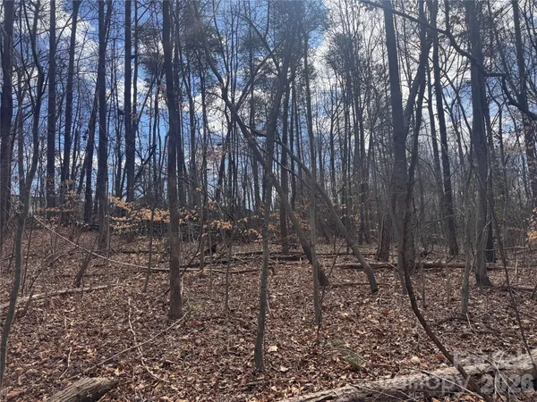 a view of outdoor space with lots of trees