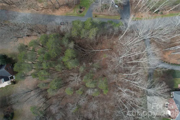a view of a dry yard with trees