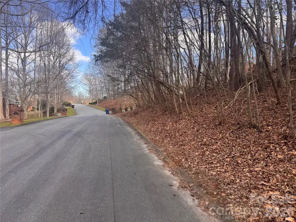 a view of road with view of trees