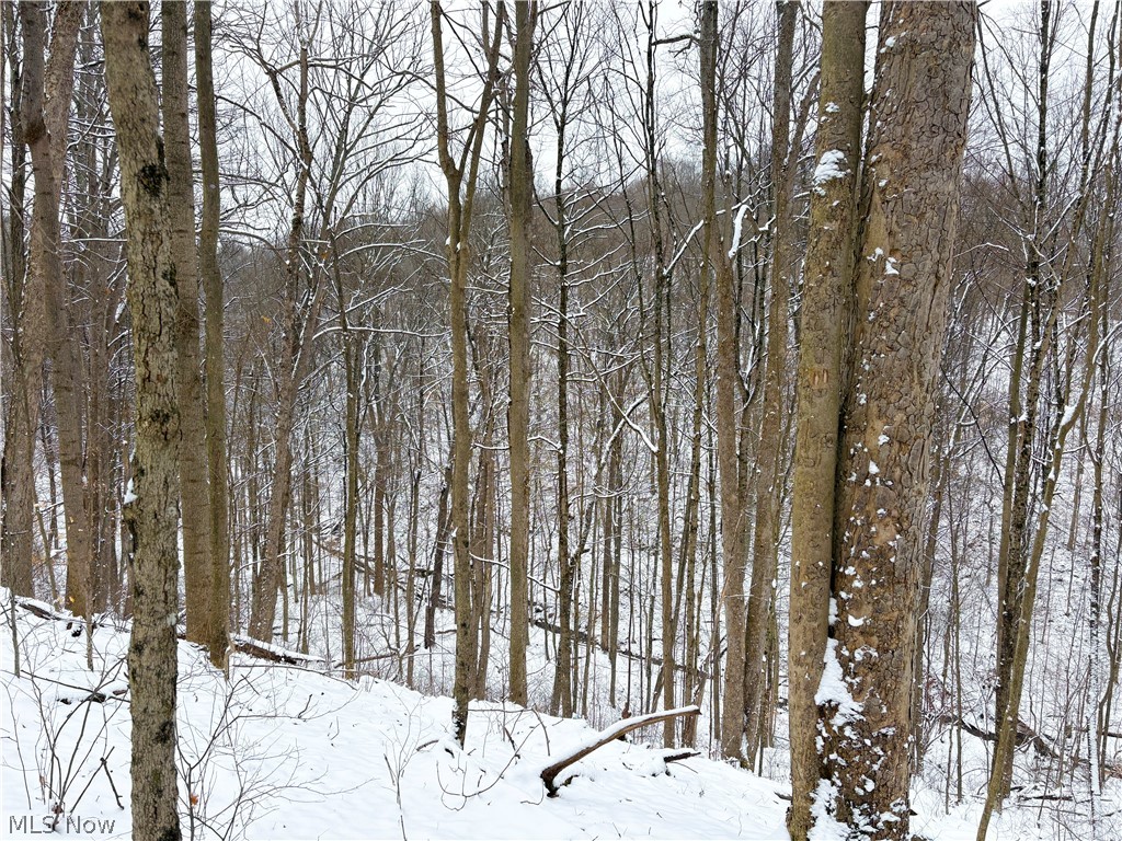 View of undeveloped land