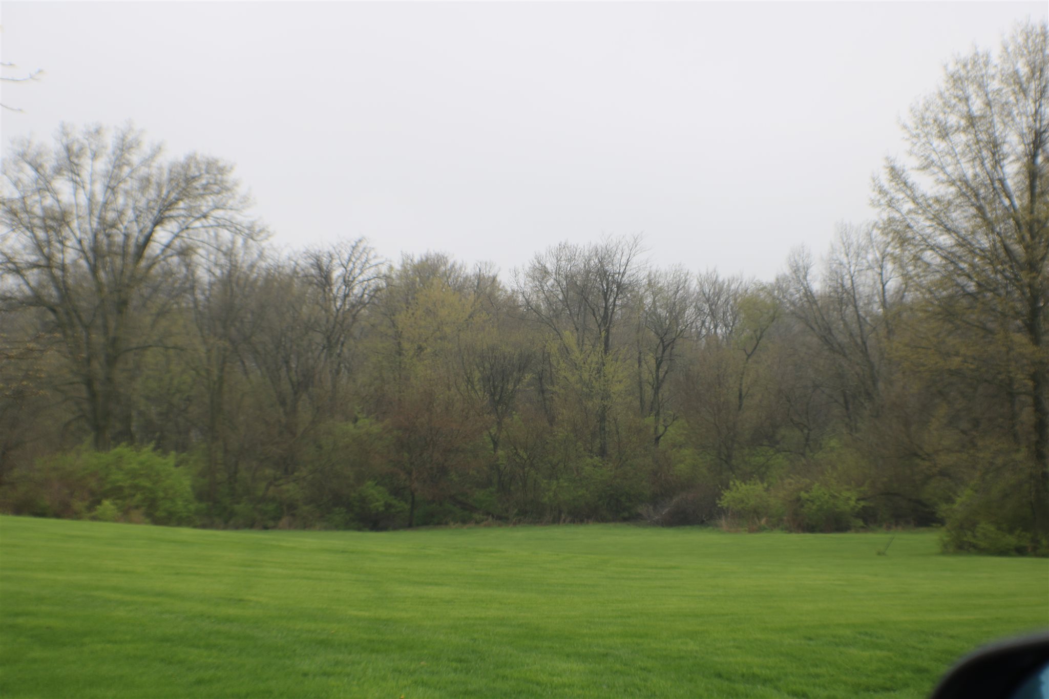 Jett Rochester, IL 62563 - Photo 3 of 6