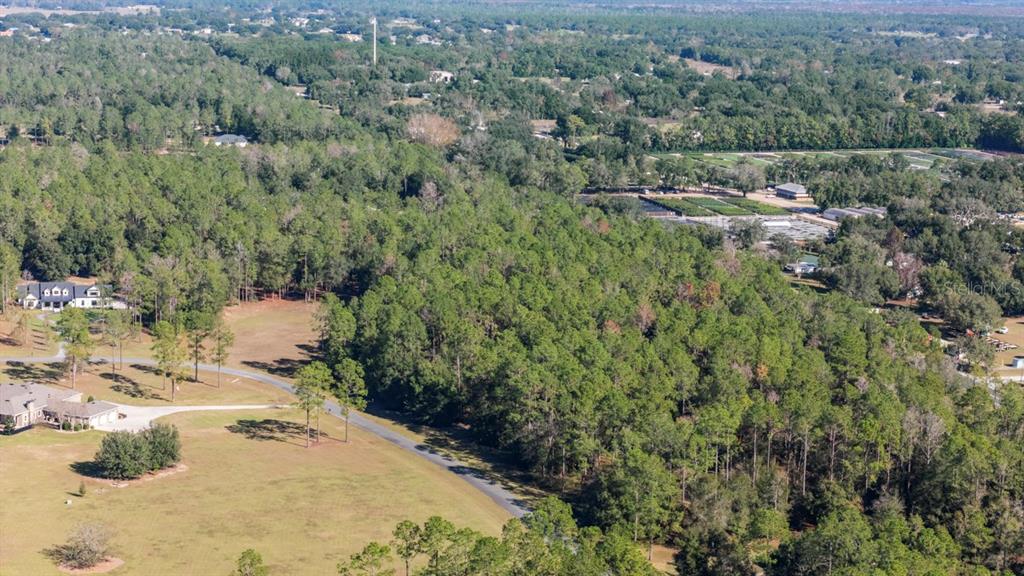 24238 Deep Springs Loop Eustis, FL 32736 - Photo 6 of 9