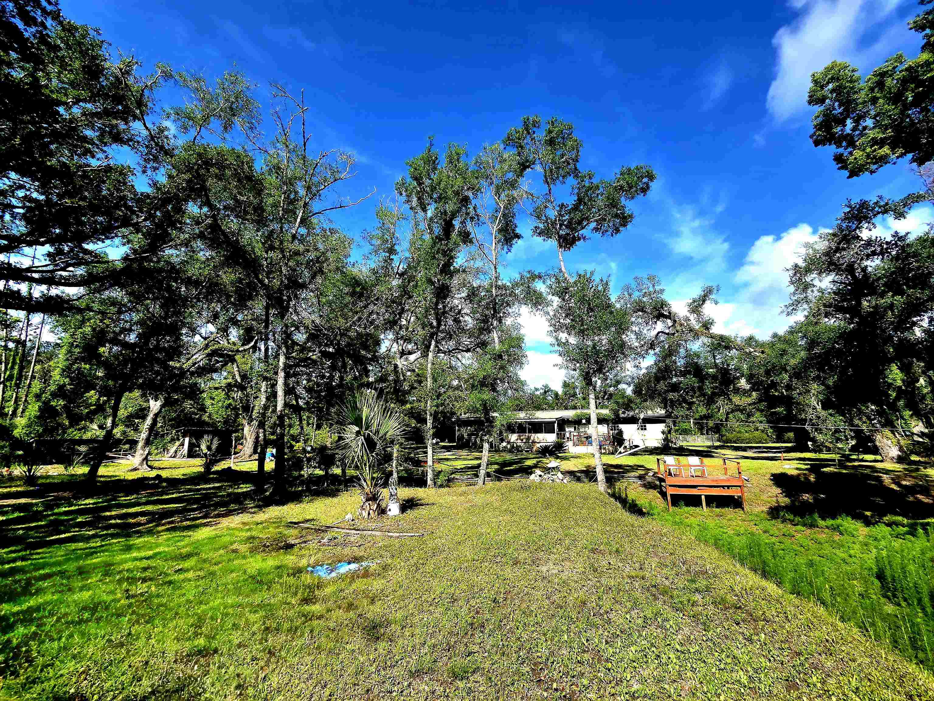 585 Mangum-Close Road Perry, FL 32347 - Photo 24 of 56