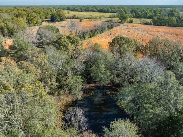 a view of a lake with a yard