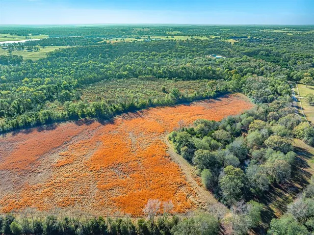 a view of a field with an ocean