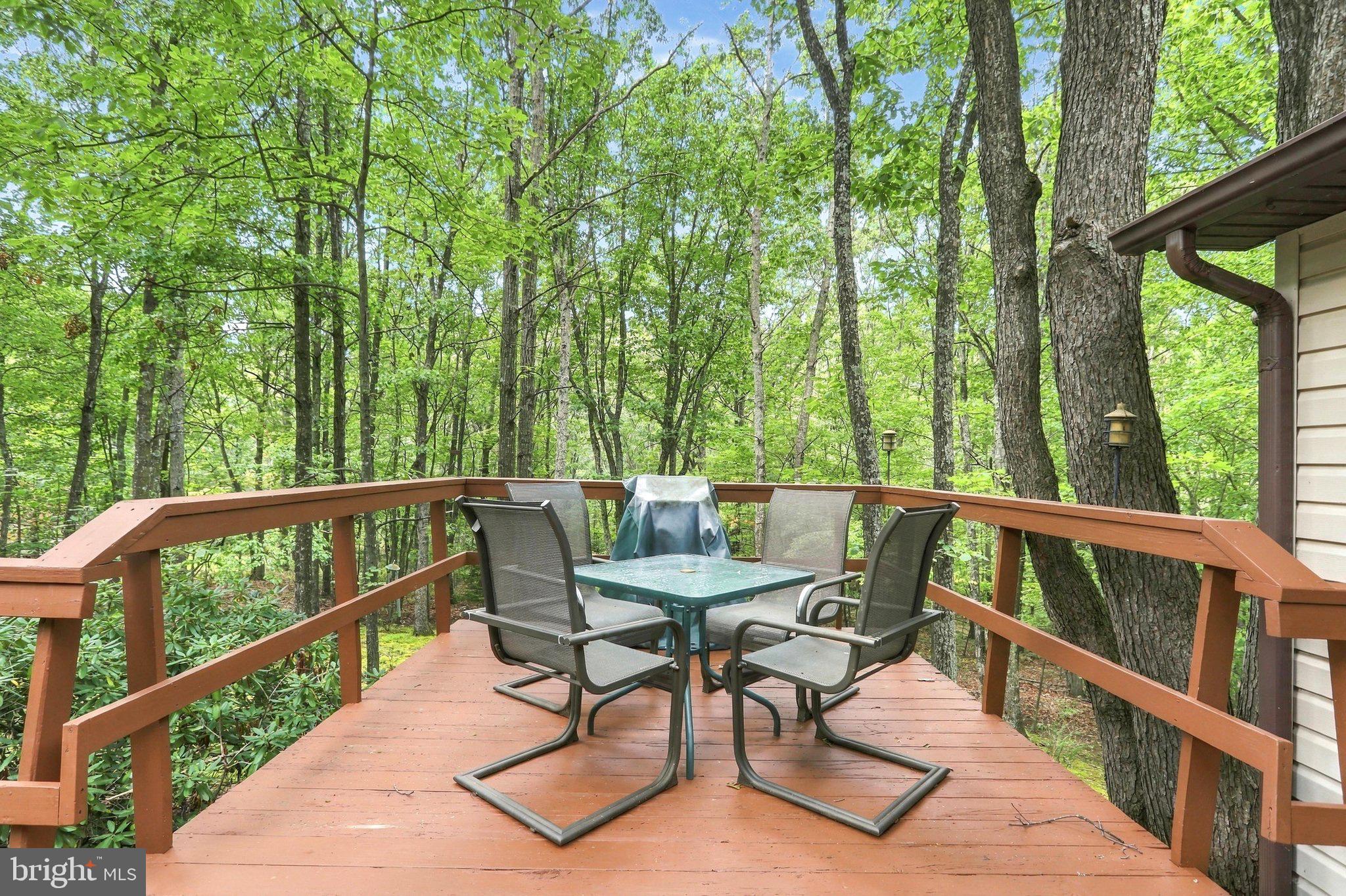 12 Little Ridge Circle Mathias, WV 26812 - Photo 33 of 43 Gallery Image 33