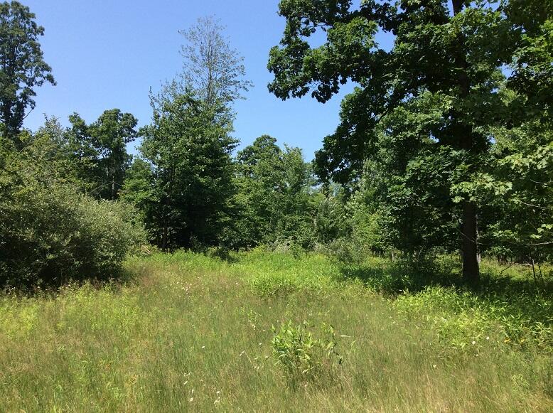 3800 South Castor Road Breckenridge, MI 48615 - Photo 15 of 34 DEMWP_4618