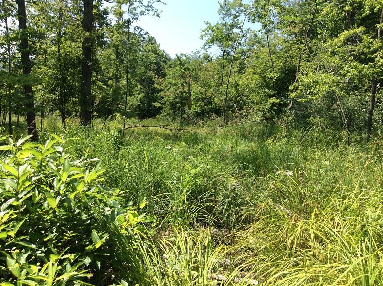 3800 South Castor Road Breckenridge, MI 48615 - Photo 23 of 34 DEMWP_4629