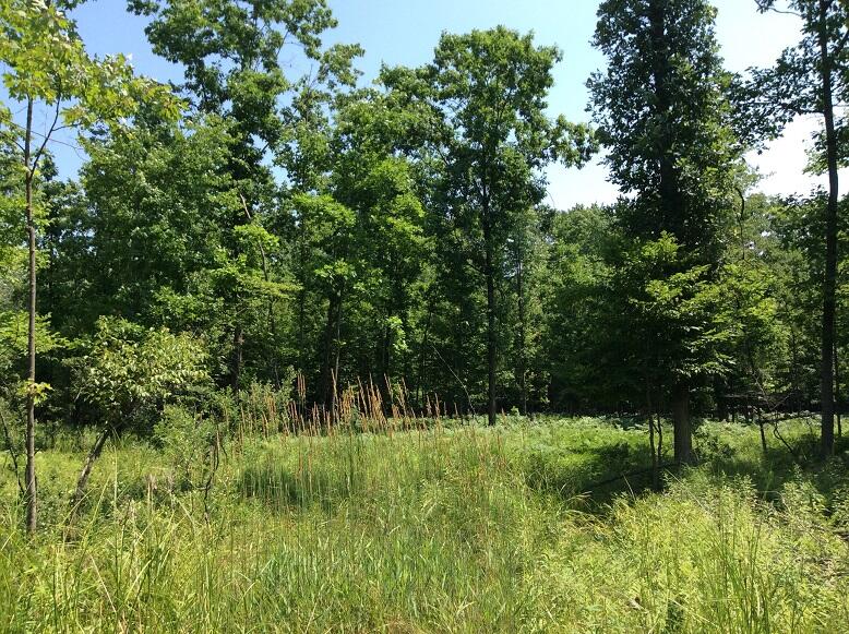 3800 South Castor Road Breckenridge, MI 48615 - Photo 24 of 34 DEMWP_4631