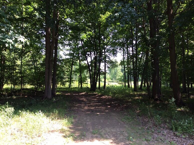 3800 South Castor Road Breckenridge, MI 48615 - Photo 7 of 34 DEMWP_4599