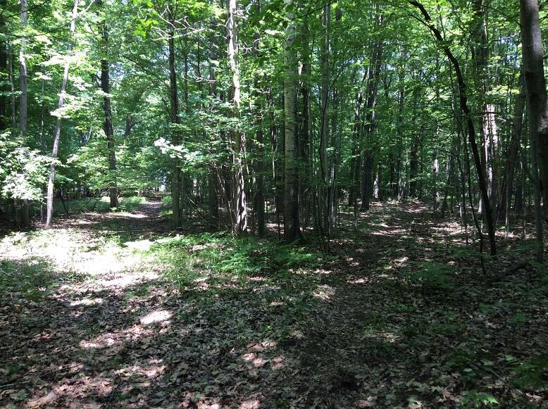 3800 South Castor Road Breckenridge, MI 48615 - Photo 10 of 34 DEMWP_4602